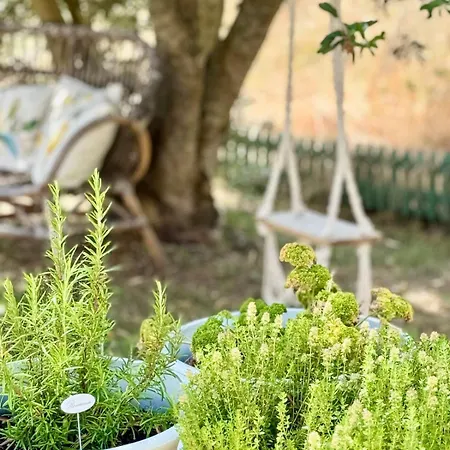 La Petite Louise - Echoppe Renovee 85m2 -libourne & Saint Emilion Дом отдыха Либурн