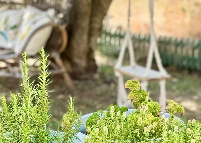 La Petite Louise - Echoppe Renovee 85m2 -libourne & Saint Emilion Дом отдыха Либурн