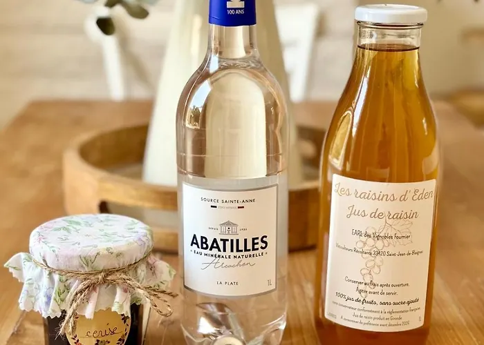 La Petite Louise - Echoppe Renovee 85m2 -libourne & Saint Emilion *